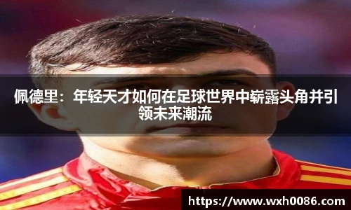 PA视讯平台