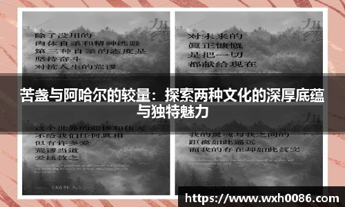 PA视讯
